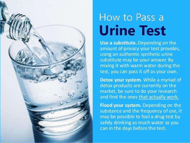 Drinking Water To Pass A Urine Test Drinking Water To Pass A Urine Test